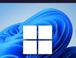 Optimización Windows